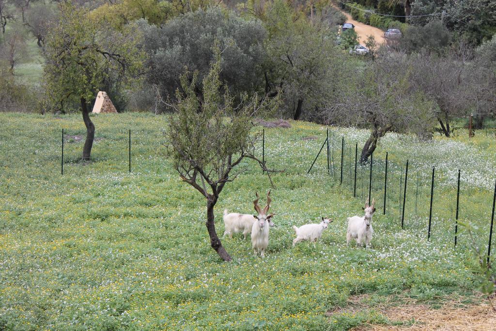 Bed & Breakfast Nettuno 3*